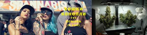 хмурый Балабаново