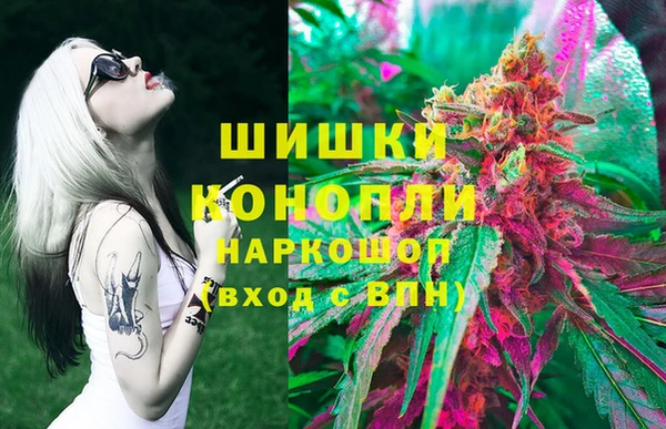 дживик Баксан