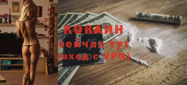 индика Арсеньев