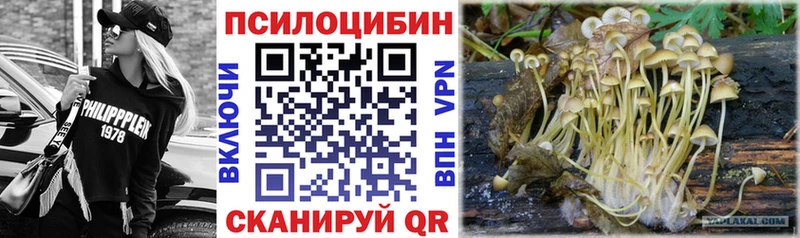 ссылка на мегу ССЫЛКА  Новопавловск  Галлюциногенные грибы Psilocybine cubensis 